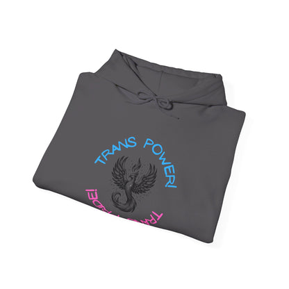 Phoenix Rising: Embrace Your Journey Hoodie